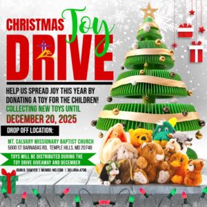 ToyDrive_25_v1
