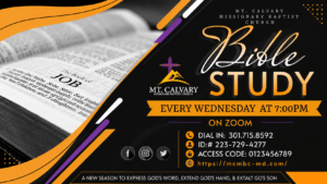 Bible Study